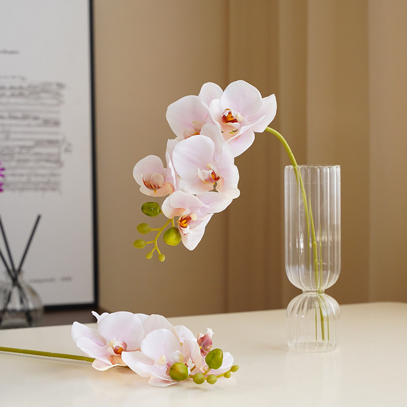 Phalaenopsis Orchid (Set of 3) - Awishkart.com