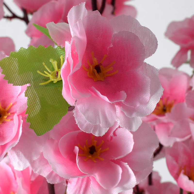 Blossom Branch Elegance (10 Stems) - Awishkart.com
