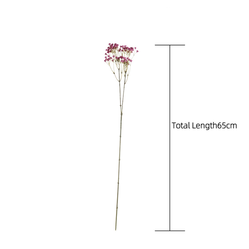 Whispering Gypsophila Blooms (20 Strands, Mix Colour) - Awishkart.com