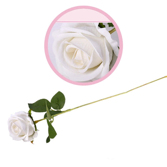 Eternal Rose Stem (Red, Pink & White) - Awishkart.com