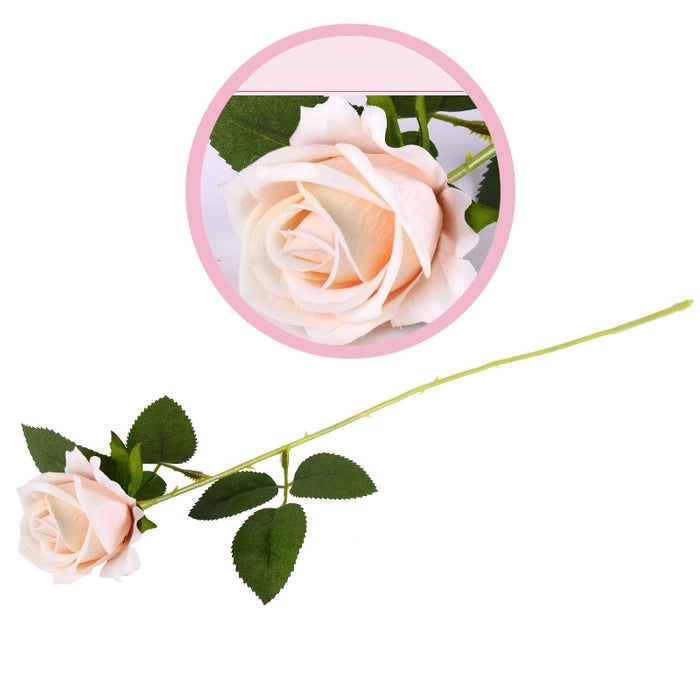 Eternal Rose Stem (Red, Pink & White) - Awishkart.com