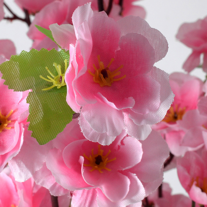 Blossom Branch Elegance (10 Stems) - Awishkart.com
