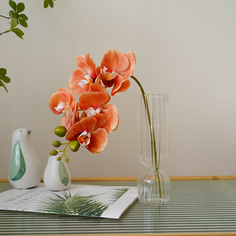 Phalaenopsis Orchid (Set of 3) - Awishkart.com