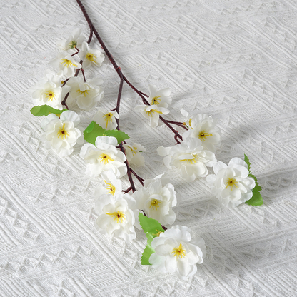 Blossom Branch Elegance (10 Stems) - Awishkart.com