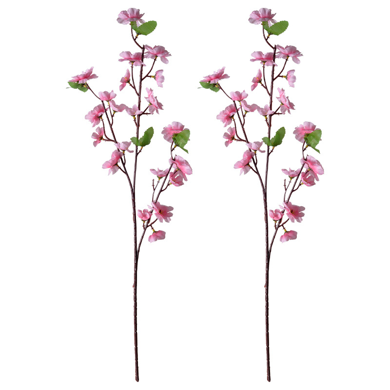 Blossom Branch Elegance (10 Stems) - Awishkart.com