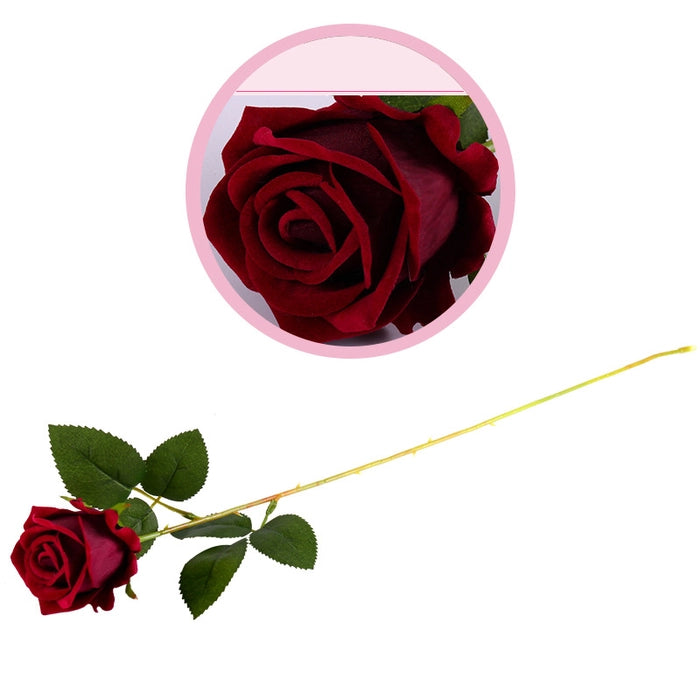 Eternal Rose Stem (Red, Pink & White) - Awishkart.com